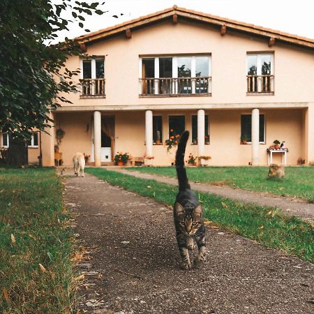 Estollo Casa De Campo La Solana المظهر الخارجي الصورة